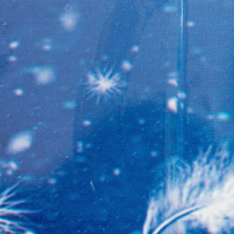 Transfer folija (341)