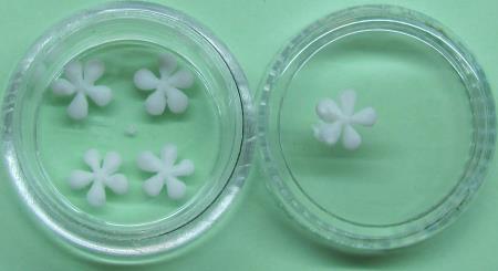 3D gumijasta roža 05