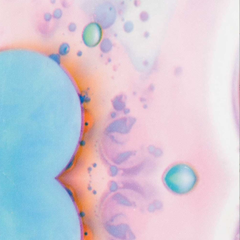 Transfer folija (204)