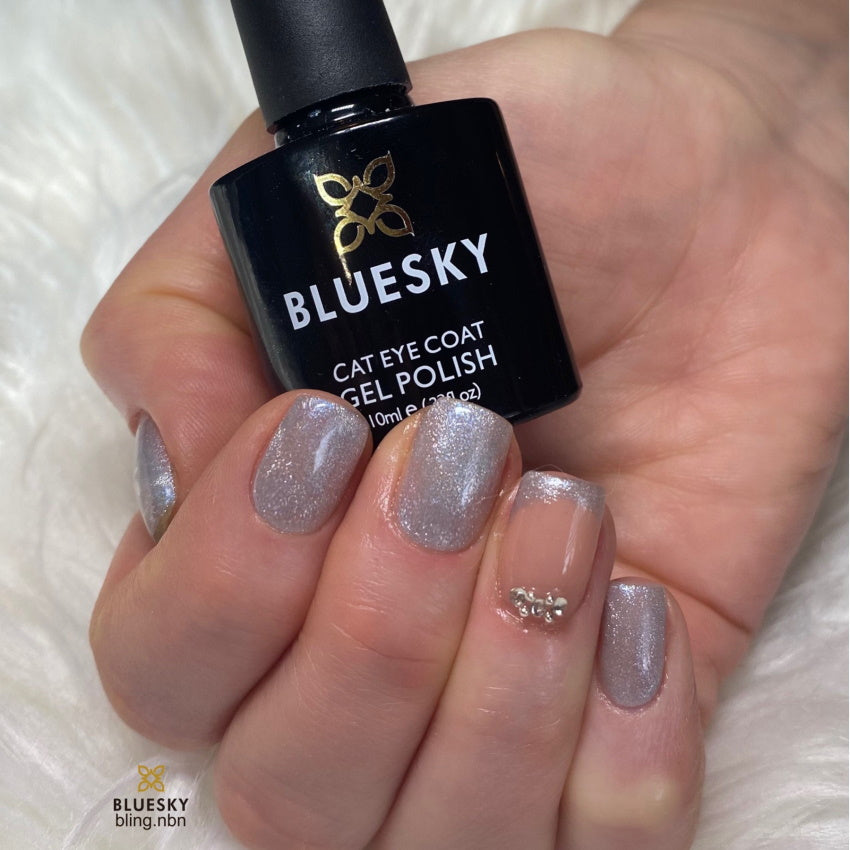 Bluesky magnetni gel lak AP06