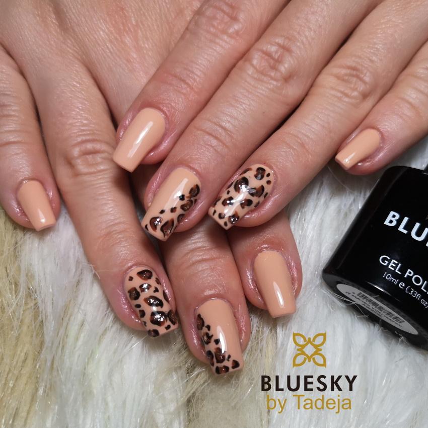 Bluesky gel lak AW2102