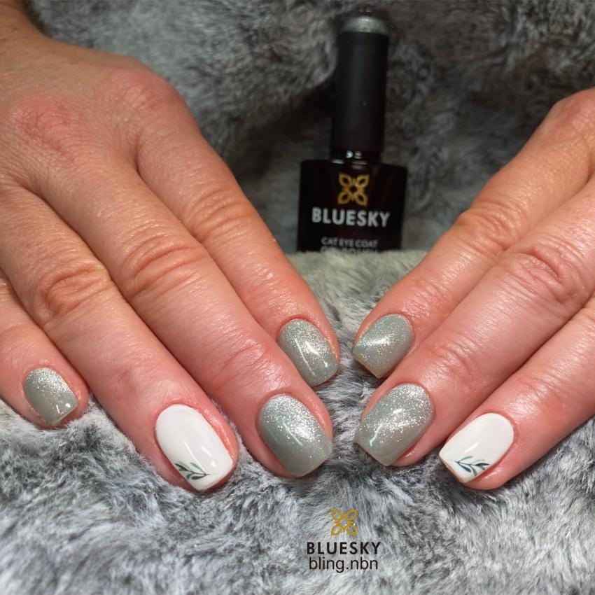 Bluesky gel lak BSM02