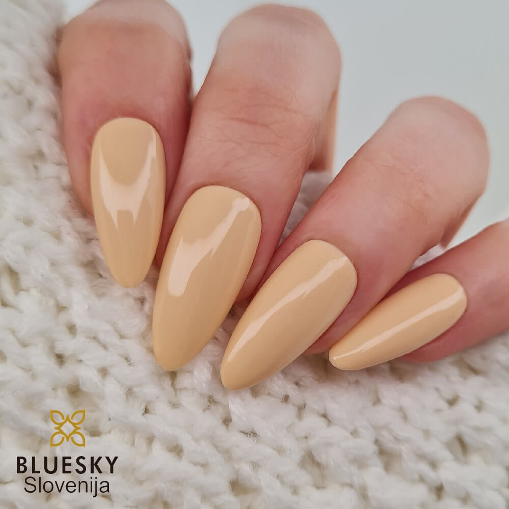 Bluesky gel lak GN12