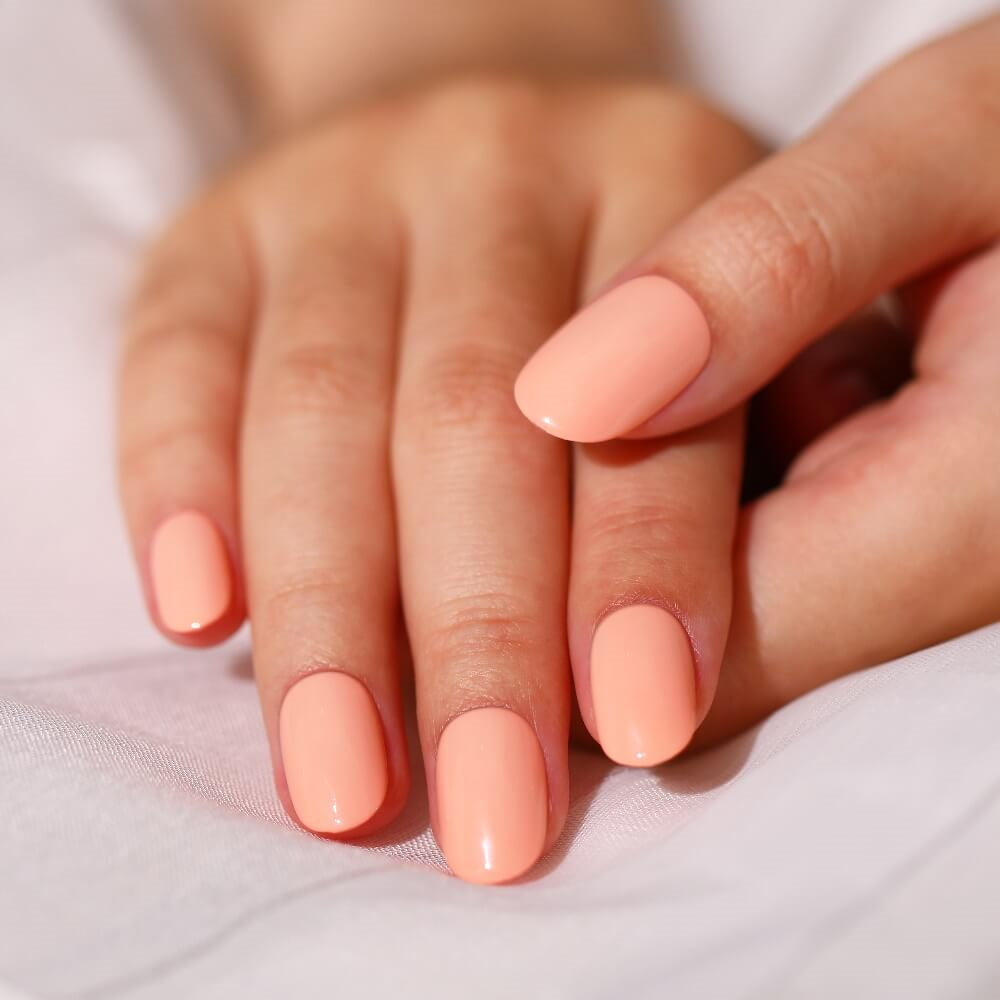 Bluesky solid barvni gel