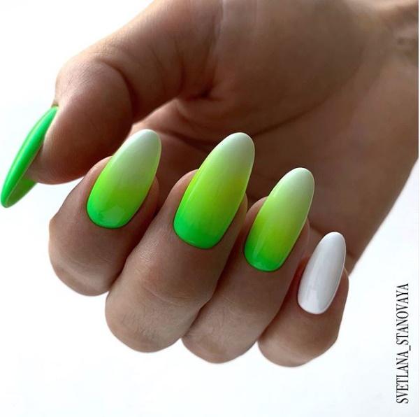 Bluesky nail art čopič/ Ombre čopič (BN009)