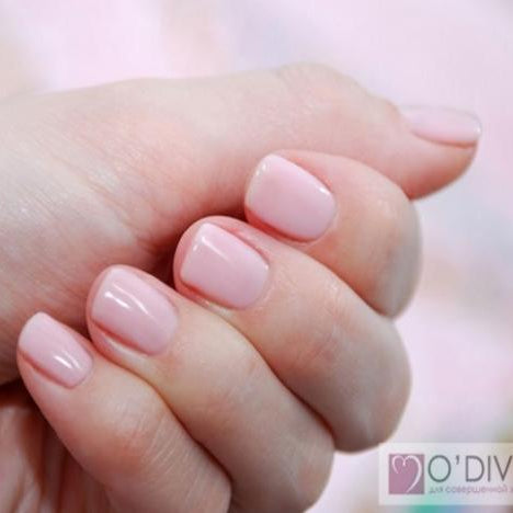 Bluesky gel lak 80504