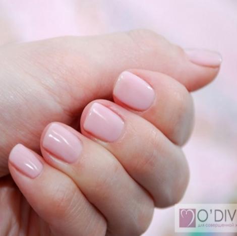 Bluesky gel lak 80504