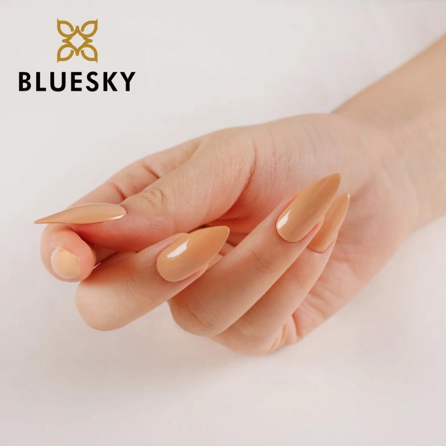 Bluesky gel lak FW1904