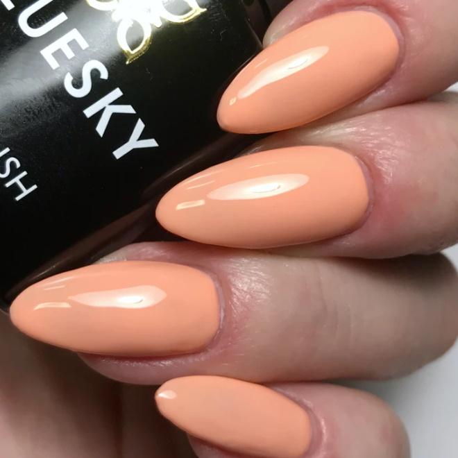 Bluesky gel lak SS2008