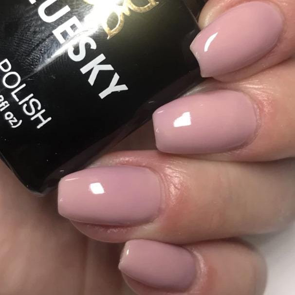 Bluesky gel lak CS22