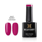 Bluesky gel lak AW2503