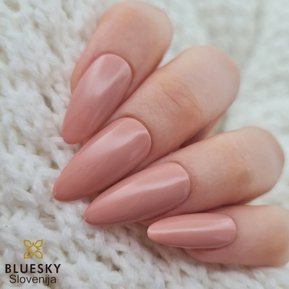 Bluesky gel lak AW2113