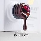 Inveray magnetni gel lak 322